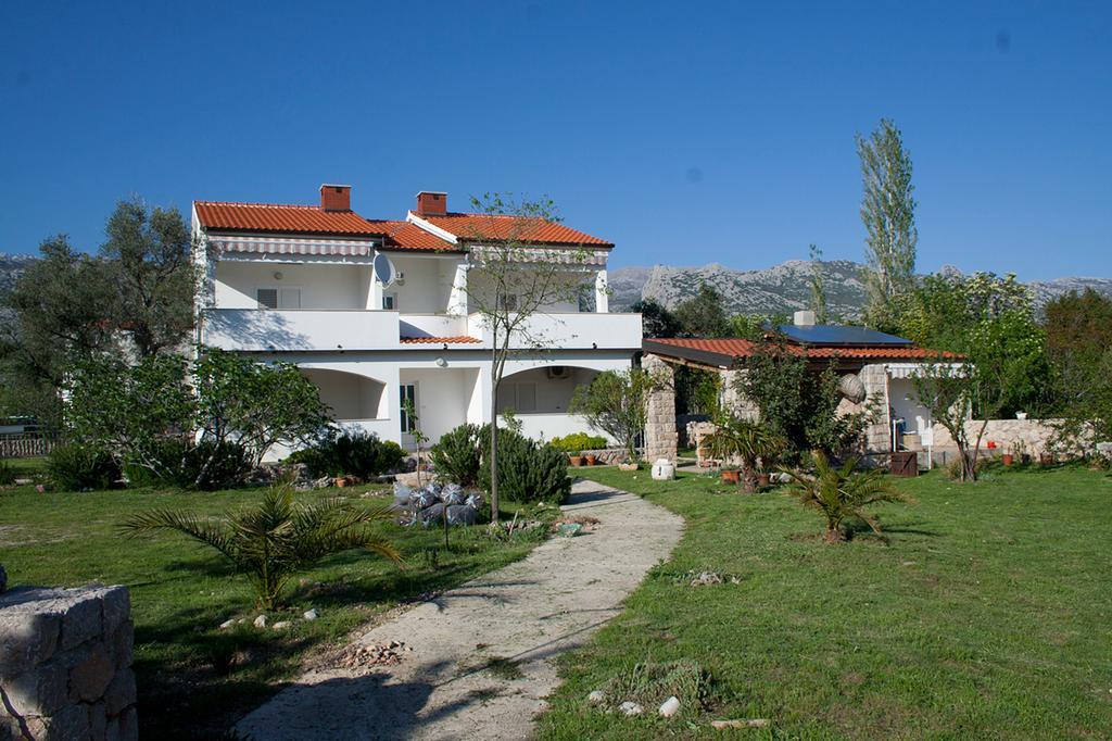 Apartments Punta Seline Rum bild