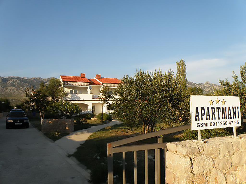 Apartments Punta Seline Rum bild